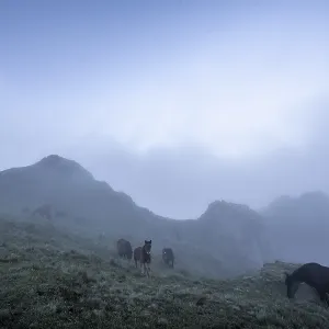 Top with a lot of fog of the Penas de Aya mount or also called Aiako Harria Top with a lot of fog of the Penas de Aya mount or also called Aiako Harria