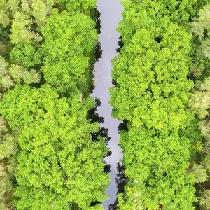 Ludwig-Danube-Main Canal in the forest from above