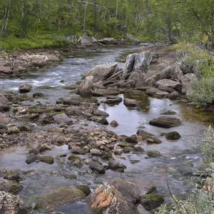 Luonosjahka mountain river in Saltdal