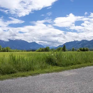 Prado verde y espeso bajo un cielo azul de verano con nubes y montañas distantes.