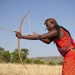 Maasai warrior wearing traditional dress while doing archery with a bow and arrow Maasai warrior wearing traditional dress while doing archery with a bow and arrow