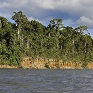 MADRE DE DIOS RIVER, MANU NATIONAL PARK IN PERU MADRE DE DIOS RIVER, MANU NATIONAL PARK IN PERU