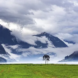 Magic valley Jostedalsbreen in the fog