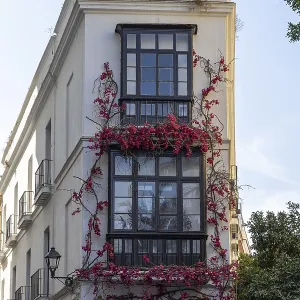 A magnificent building in a Mediterranean old town on the Atlantic coast