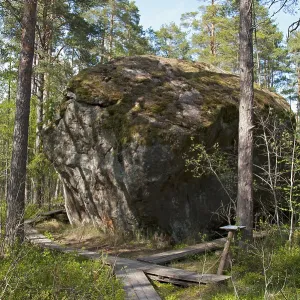 Majakivi boulder, Juminda Peninsula