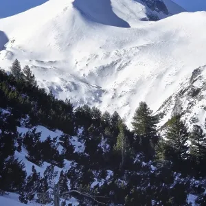 Majestic rocky mountain peak covered with snow and green fir forest in the foreground