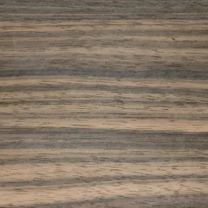 Makassar ebony (Diospyros celebica)