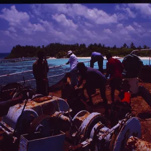 Male: A red freighter is sunk off Makafushi Island to form the basis for a coral reef Male: A red freighter is sunk off Makafushi Island to form the basis for a coral reef