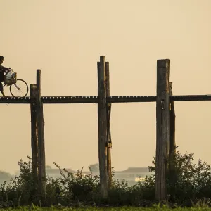 Man with a bike walking on a teak bridge Man with a bike walking on a teak bridge