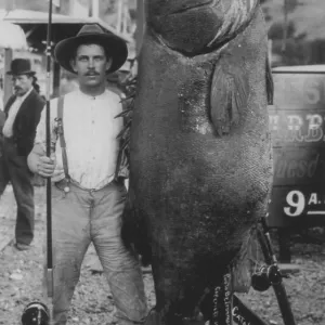 Man with giant Pacific bass (Stereolepis gigas)
