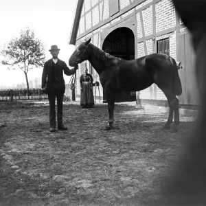 Man with horse posing for the photo Man with horse posing for the photo