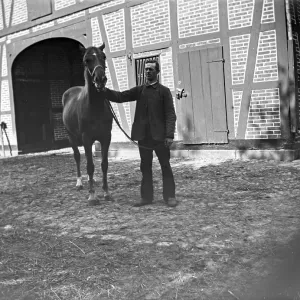 Man with horse posing for the photo Man with horse posing for the photo