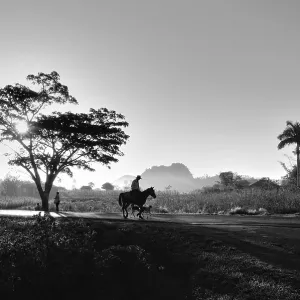 Man on horseback, sunrise, Vinales Man on horseback, sunrise, Vinales