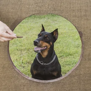 Man training dog and holding food