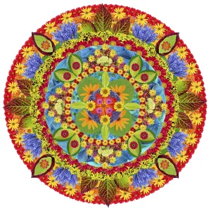 Mandala - spring autumn and summer in circular rotation- abstract concept Mandala - spring autumn and summer in circular rotation- abstract concept
