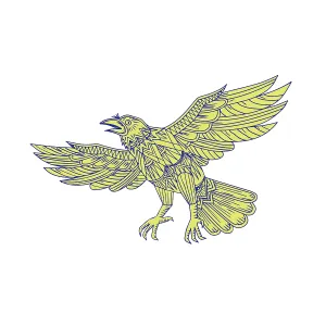 Mandala style illustration of a Common Raven of genus corvus Mandala style illustration of a Common Raven of genus corvus