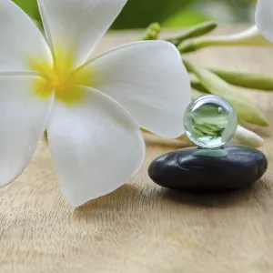A Marble on Black Zen Stones with White Flowers Print