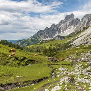 Marked hiking trail from Adamekhuette to Hofpuerglhuette