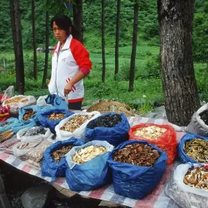 Market stall with mushrooms, Sichuan, China, Asia Market stall with mushrooms, Sichuan, China, Asia
