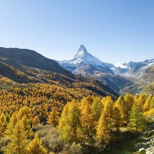 Matterhorn Autumn Print, Zermatt Switzerland