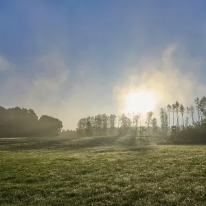 Meadow landscape, forest, sky, clouds