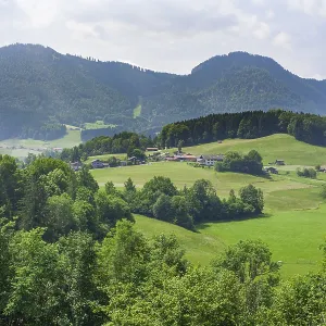 Meadow and mountains, Ruhpolding