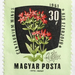 Medicinal plant as stamp motif Medicinal plant as stamp motif