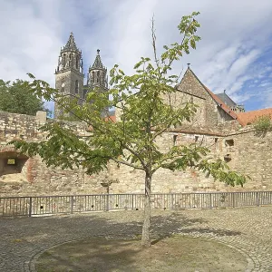 Medieval Bastion Cleve Print, Magdeburg, Germany