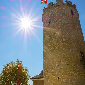 Medieval Old City Square with Castle Tower and a Tree with Sunbeam Medieval Old City Square with Castle Tower and a Tree with Sunbeam
