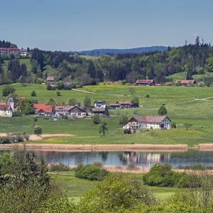 Memholz with spring meadows and mixed forest at Lake Niedersonthofen