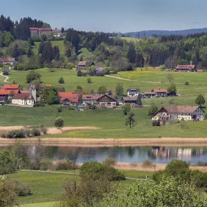 Memholz with spring meadows and mixed forest at Lake Niedersonthofen