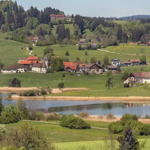 Memholz with spring meadows and mixed forest at Lake Niedersonthofen