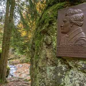 A memorial plaque of Heinrich Heine on a rock in an autumn forest
