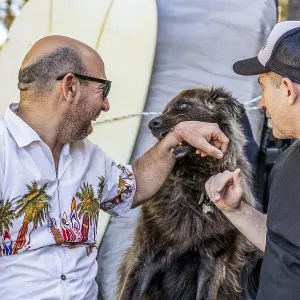 Deux hommes et un chien souriant à l'arrière d'une benne à ordures. Deux hommes et un chien souriant à l'arrière d'une benne à ordures.