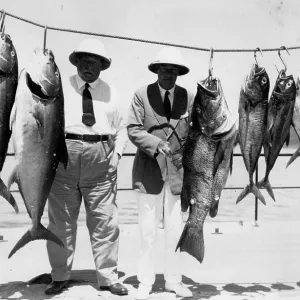 Two men pose with various captured groupers and mackerel