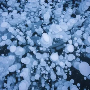 A mesmerizing view of numerous frozen bubbles captured in a thick layer of ice on a lake