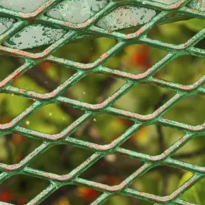 Monteverde Rainforest Metal Grid Print