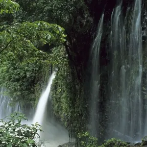 Mexico Michoacan Tzararacua waterfalls