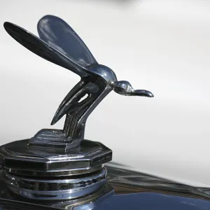 MG classic car MG classic car