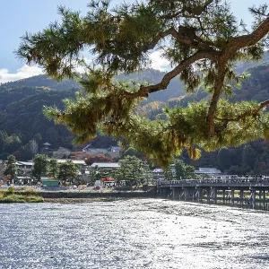 A mighty tree towering over a sparkling river with bridge and mountainous landscape A mighty tree towering over a sparkling river with bridge and mountainous landscape