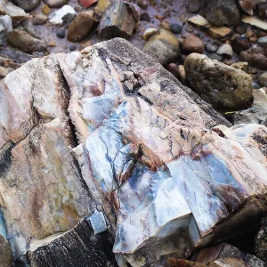 Mineral formation due to temperature changes in Petrified Forest Nationa Park