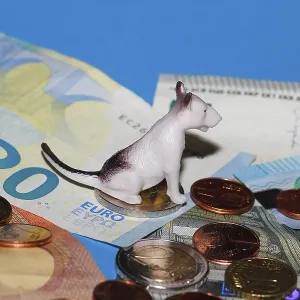 Miniature bull terrier figure sitting on euro coins surrounded by banknotes against a blue background Miniature bull terrier figure sitting on euro coins surrounded by banknotes against a blue background