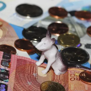 Miniature bull terrier figure sitting on euro coins surrounded by banknotes against a blue background Miniature bull terrier figure sitting on euro coins surrounded by banknotes against a blue background