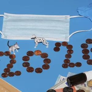 Miniature dogs with medical devices and euro coins on a blue background Miniature dogs with medical devices and euro coins on a blue background