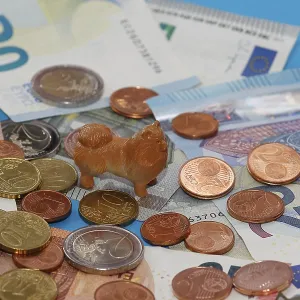 Miniature Kleinspitz figure standing on euro coins surrounded by banknotes Miniature Kleinspitz figure standing on euro coins surrounded by banknotes