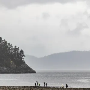 Misty Beach Scene Print, Lower Mainland, British Columbia