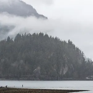 Misty Lower Mainland Landscape Print