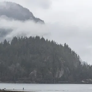 Misty Overcast Beach Scene Print - British Columbia, Canada