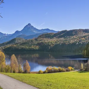 Mixed forest at the WeiBensee near Fussen