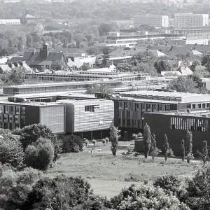 Modern buildings in an urban environment with trees and an expansive horizon Modern buildings in an urban environment with trees and an expansive horizon